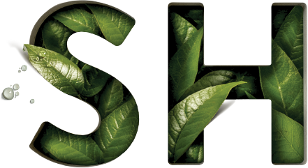 SH Group logo